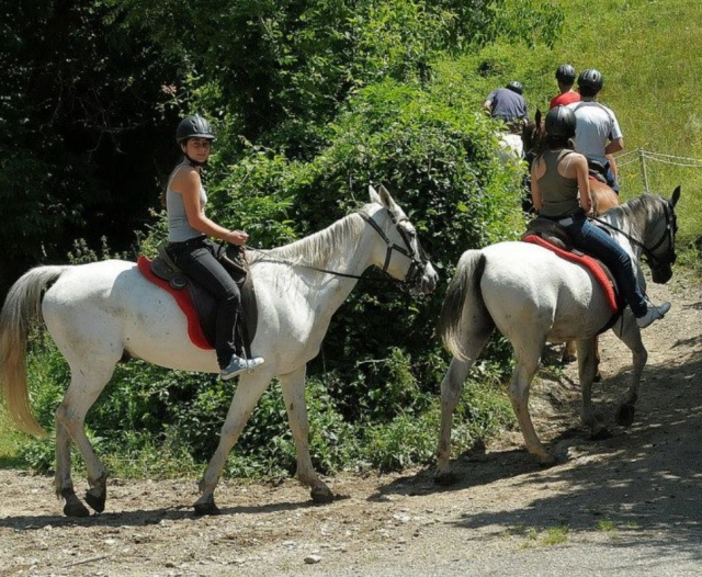 A caballo entre la vegetacion.jpg